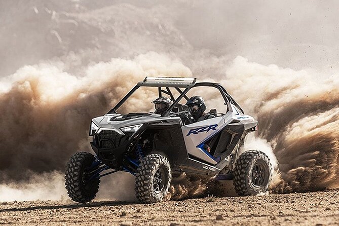 Buggy Ride Dubai & Dubai Desert Safari & Camel Ride with pickup - Who will enjoy this most