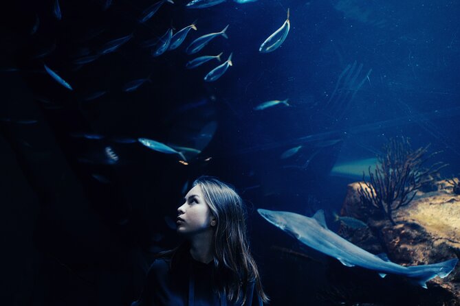 Burj Khalifa and Dubai Aquarium Combo Entrance Ticket - Dubai Aquarium and Underwater Zoo: more than a mall display