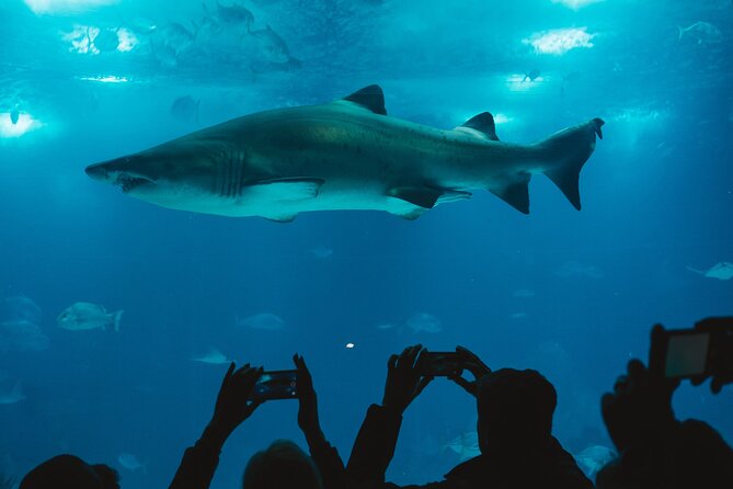Burj Khalifa and Dubai Aquarium Combo Entrance Ticket - A family-friendly plan with a few limits