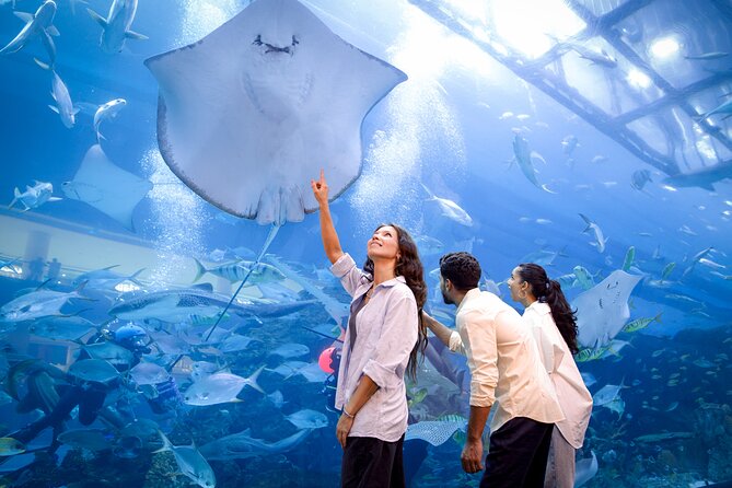 Burj Khalifa At the Top & Dubai Aquarium Combo Entrance Tickets - Walking through Dubai Aquarium and Underwater Zoo