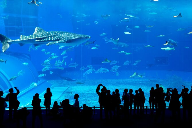 Burj Khalifa, Dubai Aquarium & UWZ with Penguin Cove Entry Ticket - Crowds, queues, and the real timing