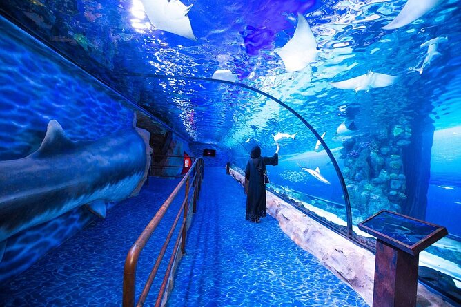 Burj Khalifa, Dubai Aquarium & UWZ with Penguin Cove Tickets - Two Dubai icons, one busy day