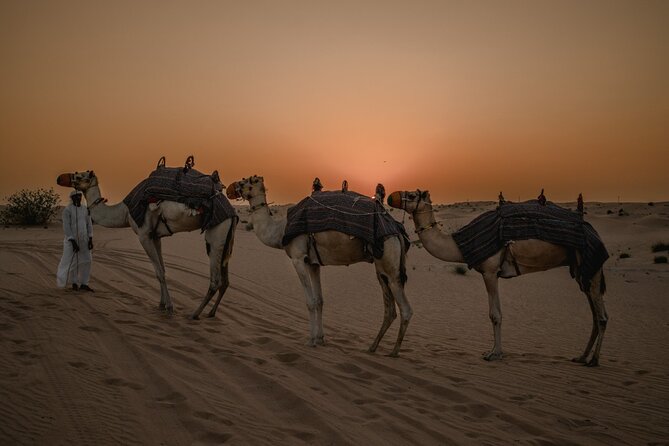 Combo:Deluxe Desert Safari with dinner + ATV self-drive/Quad Bike - From Dubai hotel pickup to the red dunes