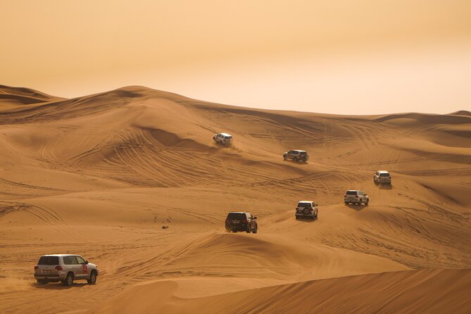 Combo tour- Dubai city tour & Evening Desert safari - Key points to know before booking