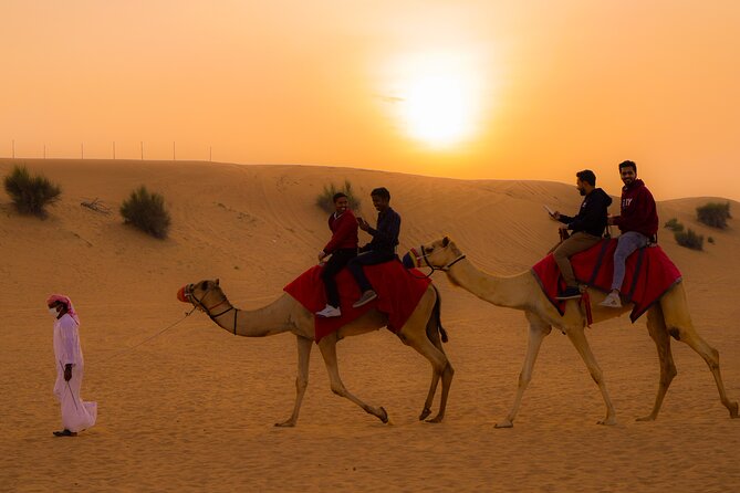Combo tour- Dubai city tour & Evening Desert safari - Palm Jumeirah and Atlantis from the road