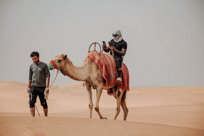 Combo Tour: Grand Mosque Visit & Dubai Desert Safari Experience - Who will get the most from this tour