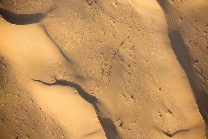 Deluxe Hot Air Balloon Ride with Breakfast & Flight Falcon Show - Breakfast at the Bedouin camp