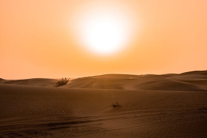 Desert Quad Biking Tour and Sand Boarding with Dinner in Dubai - Is $144.50 Good Value?