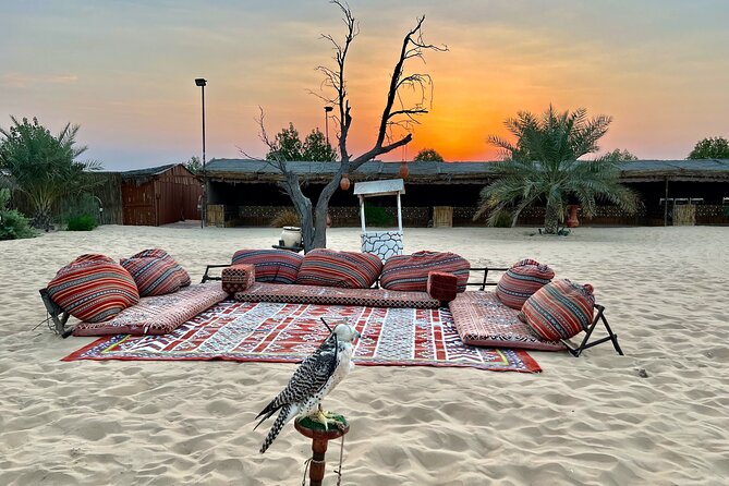 Desert Safari Abu Dhabi w/ Sand Boarding, Camel Ride & BBQ Dinner - Sandboarding without a complicated lesson