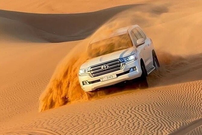 Desert Safari Abu Dhabi - Camel farm and the first desert stops