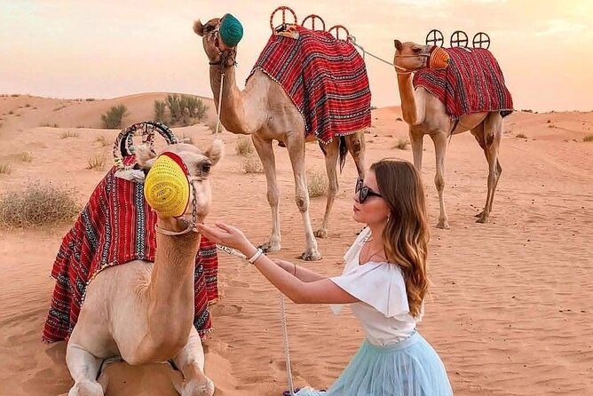 Desert Safari Adventure Dubai - Is $35.25 a fair price?