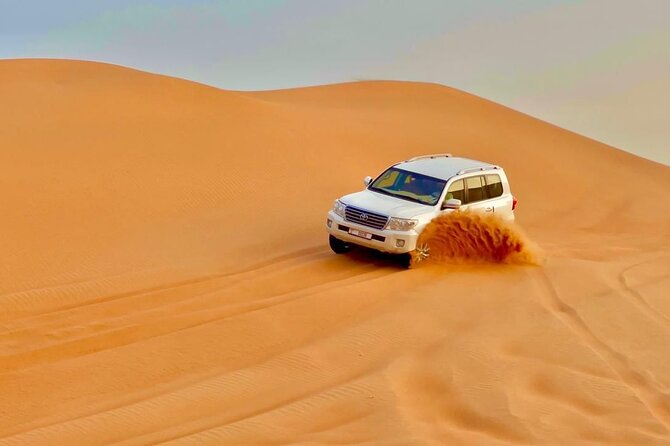 Desert safari adventure with BBQ dinner - Service, guides, and the importance of the driver