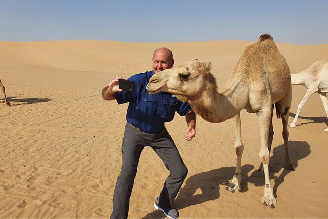 Desert Safari BBQ dinner, Camel ride & sandboarding from Dubai - Who Will Get the Most From This Tour