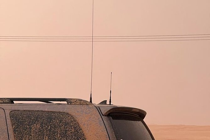 Desert Safari BBQ Dinner, Live Shows, ATV Bikes, Sandboarding - Quick facts before you book