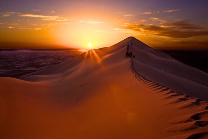 Desert Safari Dubai 30 Mins Quad Bike, Sand Board, Camel Ride BBQ - How the value compares at $87.92