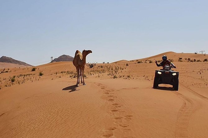Desert Safari Dubai (PREMIUM VIP) - A short camel ride, not a desert trek