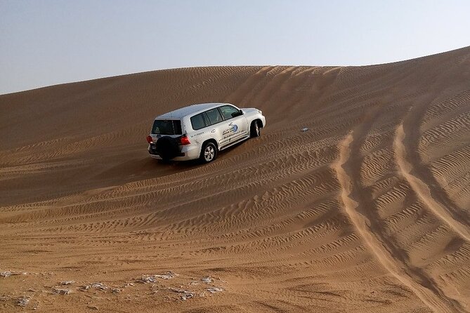 Desert Safari Dubai with BBQ Dinner and Belly Dance - Who will get the most from this $65 package