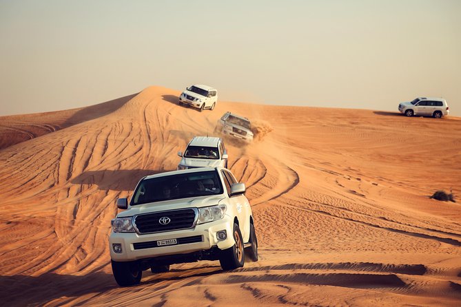Desert Safari Experience - Arabian Safari - Key Points Before You Book