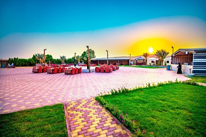 Desert Safari in 4x4 Car with BBQ Dinner and Belly Dance - Henna, traditional dress, and sunset photographs