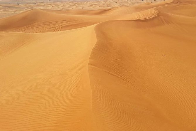 Desert Safari Red Dunes with Camel Ride, Sandboard, BBQ and Shows - BBQ dinner and three shows close the evening