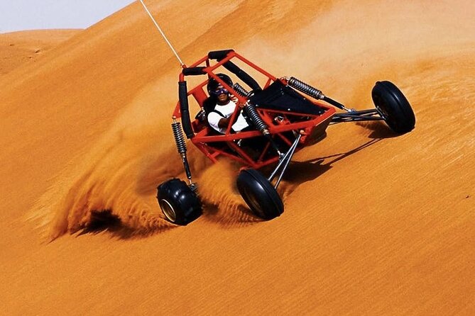 Desert Safari Tour, 6 Hour Fun, Family & Friends, Camel Ride & Dinner Included - Who Will Get the Most From This Safari