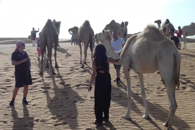 Desert Safari Tour, Quad Bike with BBQ Dinner & Show from Dubai - Tanoura, belly dancing, and fire performances