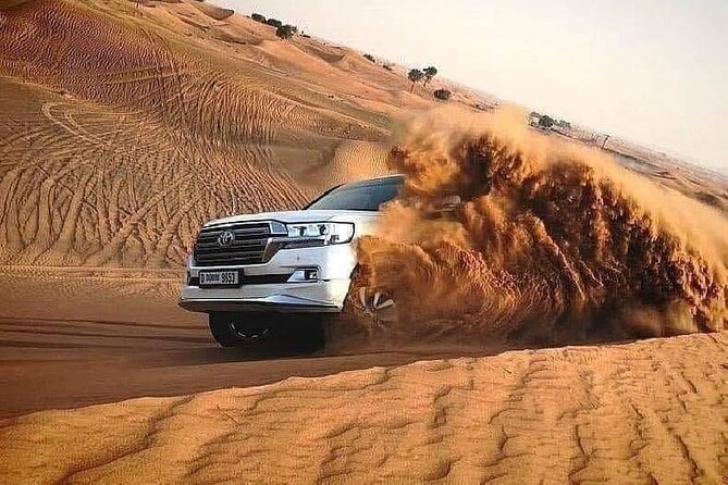 Desert Safari With BBQ Dinner, Camel Ride, Sand Boarding In Dubai - Service quality and the guide you may get