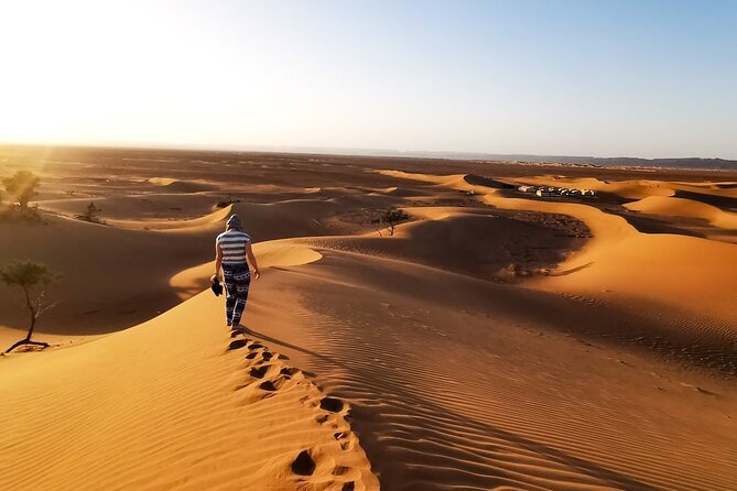 Desert Safari With BBQ Dinner, Quad Ride And And Sand-boarding - Who will enjoy this desert safari most
