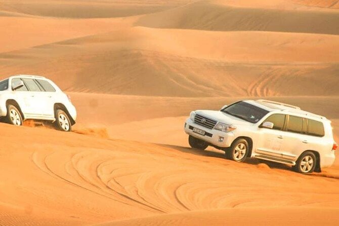 Desert Safari with Dune bashing BBQ Dinner and More Activities - The 45-minute ride from Dubai to the Red Sands
