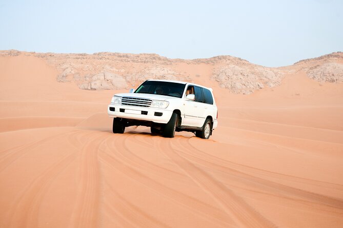 Desert Safari with Dune bashing BBQ Dinner and More Activities - Who will enjoy this nine-hour safari most