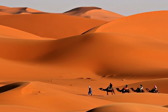 Desert Safari with Quad Bike Ride in Red Dunes - 4x4 dune bashing adds the big rush