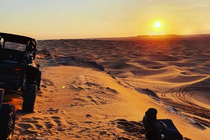 Desert Tour by ATV OR Buggy Self-drive, BBQ Dinner and Camel Ride - The camel and falcon moments at Al Aweer