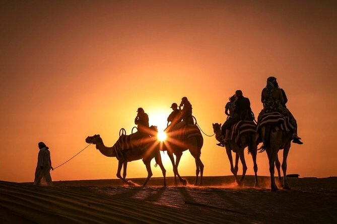 Dinner In Dubai Desert - One afternoon, many desert activities