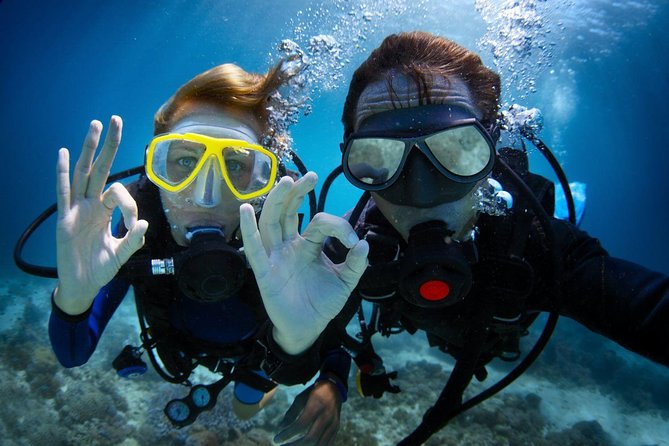 Discover Scuba Diving in Dubai - What the two-hour session is really like