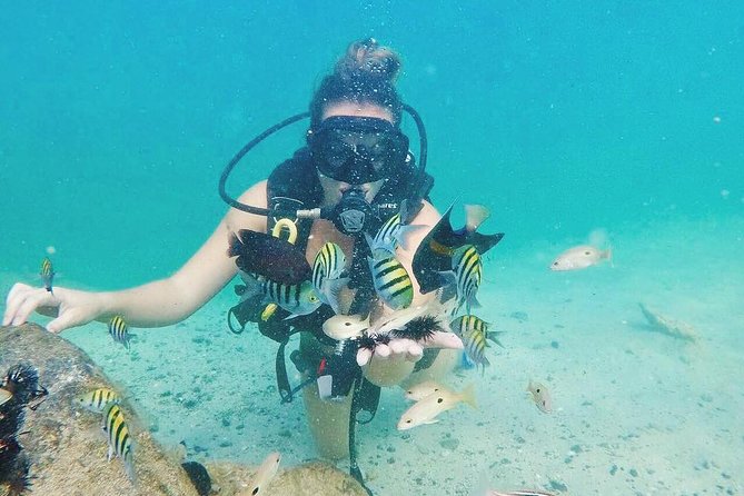 Discover Scuba Diving in Dubai - The instructors are the heart of the experience