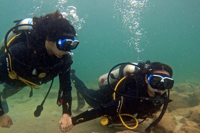 Discovery Scuba Diving in Dubai - Shallow-water practice before the open-water portion
