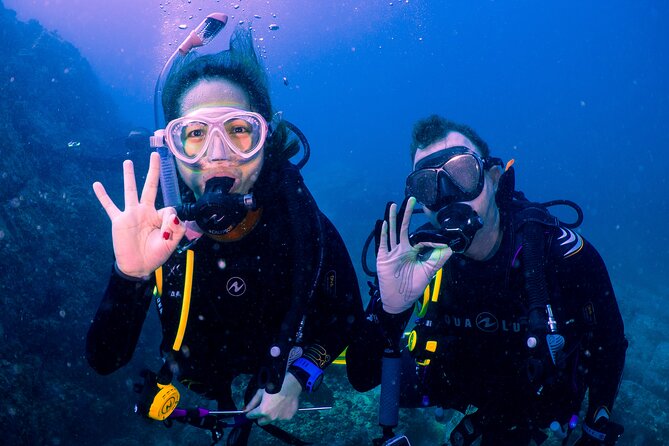 Dive trip to the coral reefs of Fujairah for certified scuba divers - What the two boat sessions are like