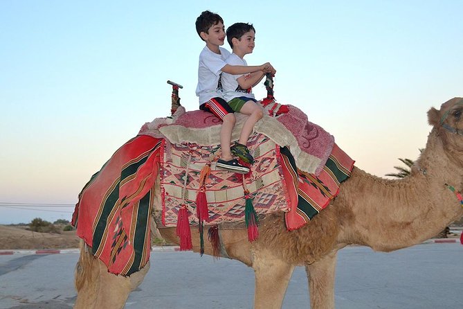 Dubai 30 Mins Quad Bike Desert Drive & Safari - Morning - Pickup in a shared 4x4