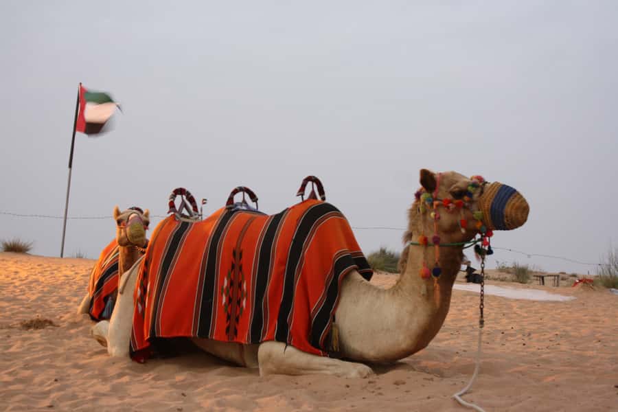 Dubai 4WD Evening Desert Safari - Crossing the dunes in a Land Cruiser