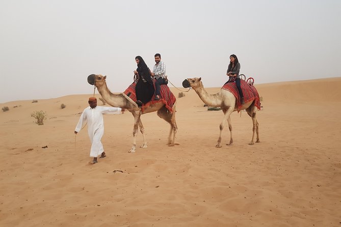 Dubai 4x4 Desert Safari, Quad Bike, Camel Ride & BBQ Dinner - Fire, Tanoura, and belly dance shows