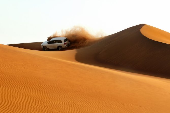 Dubai: Adventure Evening Desert Safari, Camel Ride, Shows & BBQ Dinner - Key points to know before booking