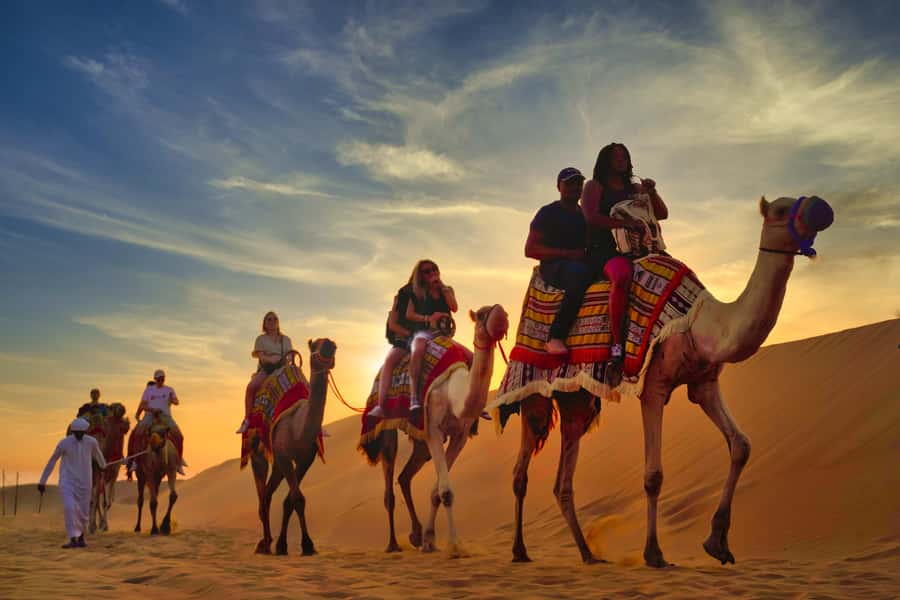 Dubai: Al Khayma Camp Experience with BBQ Dinner - Camel Feeding and the Sunset Ride