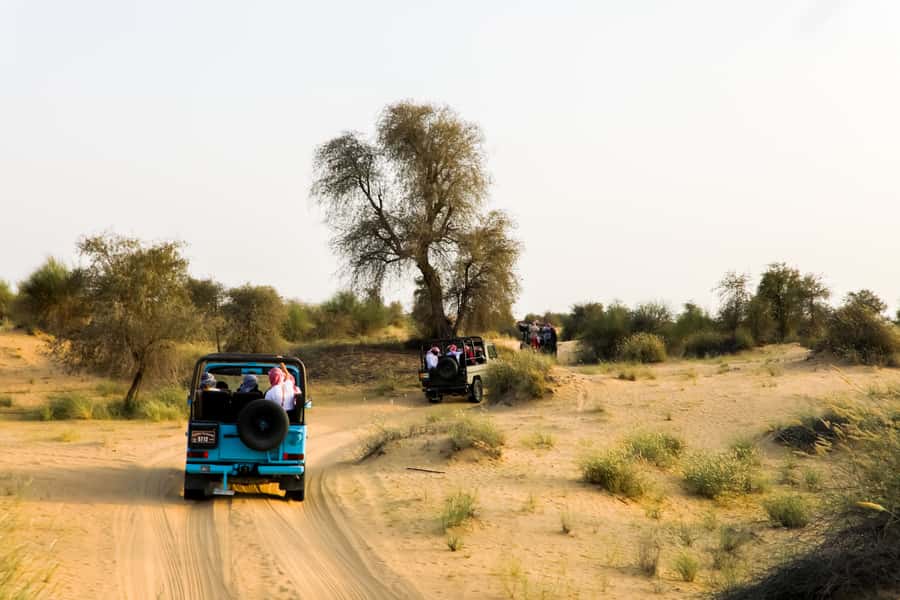 Dubai: Al Marmoom and Al Qudra Lakes Guided Tour with Dinner - Should you book the Al Marmoom and Al Qudra tour?