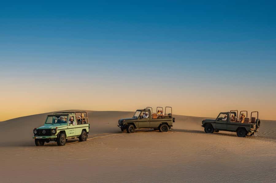 Dubai: Al Marmoom Oasis Safari, Animal Spotting & Breakfast - Riding through the dunes in a vintage Mercedes G-Class