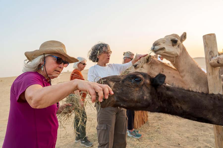 Dubai: Al Marmoom Oasis Safari, Animal Spotting & Breakfast - Family comfort and physical demands