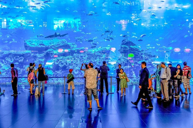 Dubai Aquarium and Underwater Zoo - The 48-meter tunnel is the main event