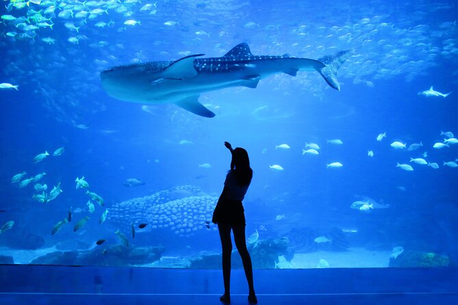 Dubai Aquarium and Underwater Zoo - The skip-the-line promise needs caution