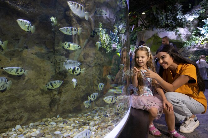 Dubai Aquarium and Underwater Zoo Entrance Ticket - The Big Tank Beneath Dubai Mall