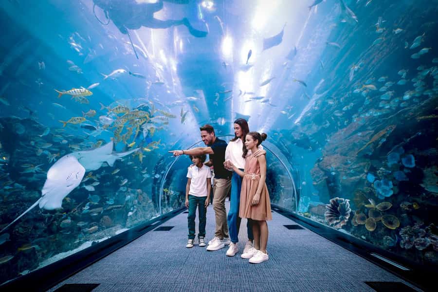 Dubai: Aquarium and Underwater Zoo Experience - Key points to know before you go