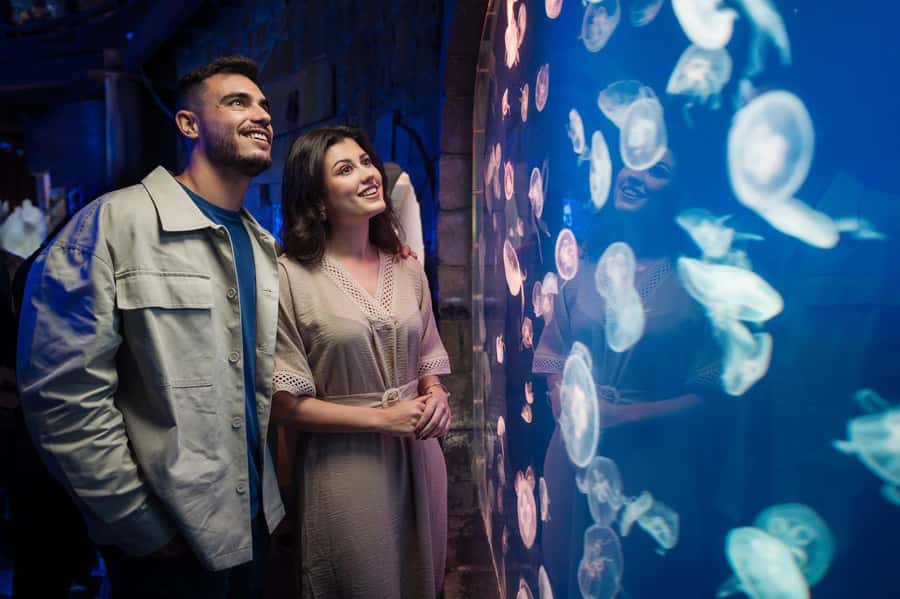 Dubai: Aquarium and Underwater Zoo Experience - The main attraction: a huge aquarium in Dubai Mall